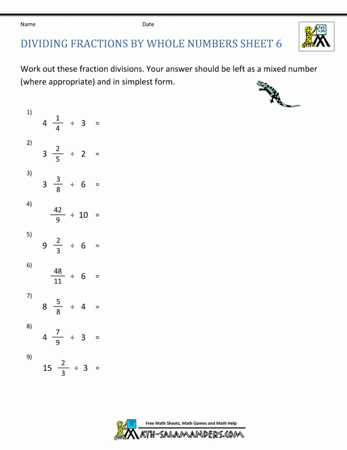 Dividing Fractions With Whole Numbers Worksheets 99Worksheets