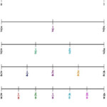 Fraction Number Line For Undertstanding Fractions Number Line Number