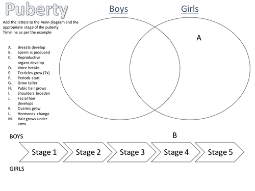 Free Printable Worksheets On Puberty Worksheets Master